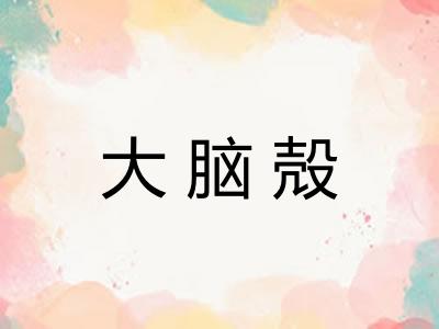 大脑殻