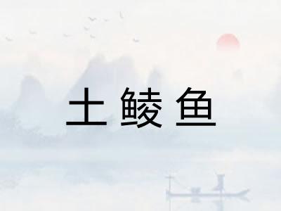 土鲮鱼