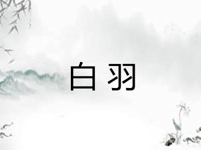 白羽
