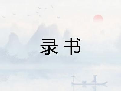 录书