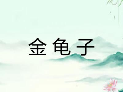 金龟子