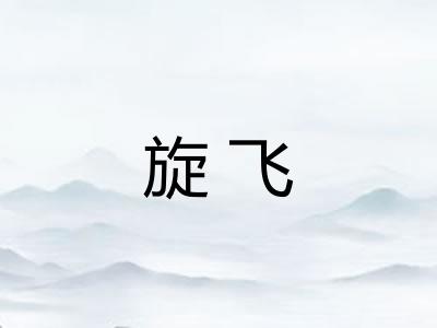 旋飞