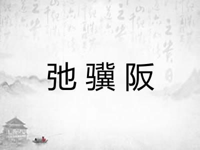 弛骥阪
