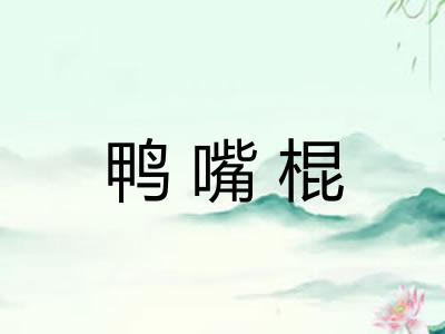 鸭嘴棍