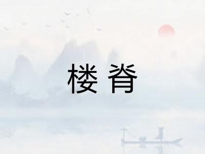 楼脊