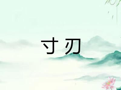 寸刃