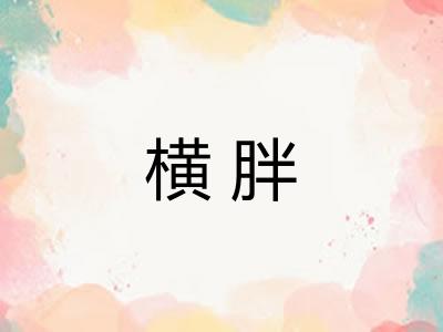横胖