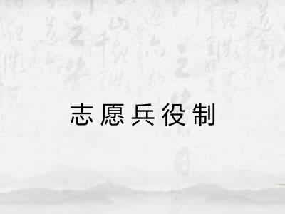 志愿兵役制