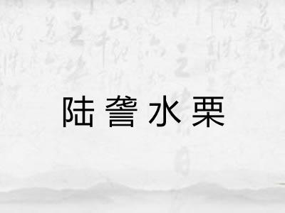 陆詟水栗