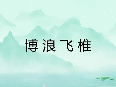 博浪飞椎