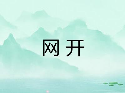 网开