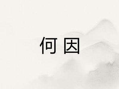 何因