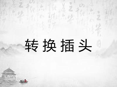 转换插头