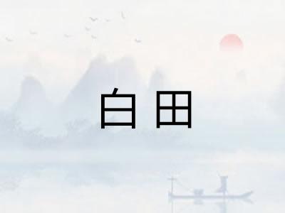 白田