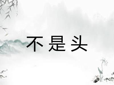 不是头