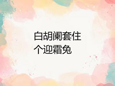 白胡阑套住个迎霜兔