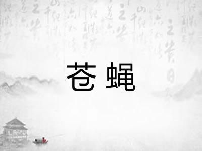 苍蝇