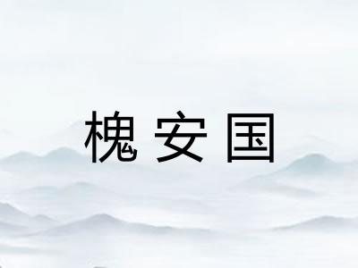 槐安国