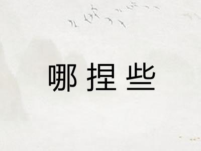 哪捏些