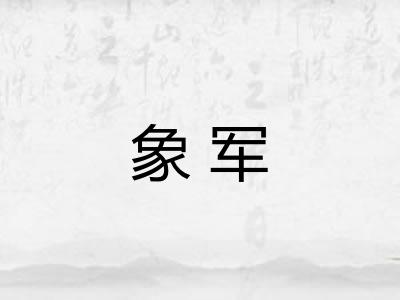 象军
