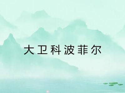 大卫科波菲尔