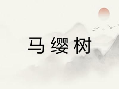 马缨树
