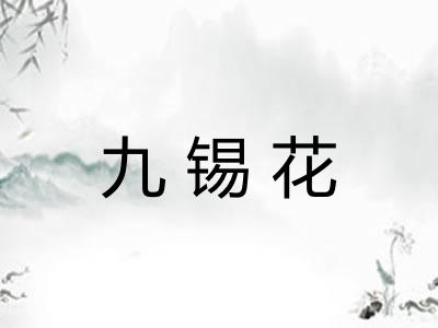 九锡花