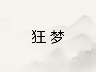 狂梦