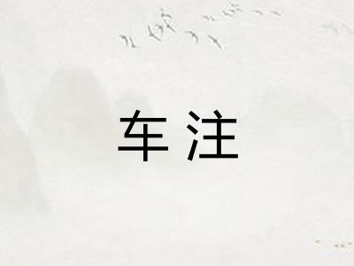 车注