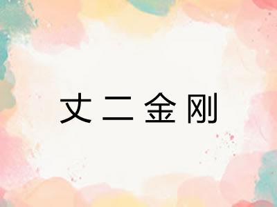丈二金刚