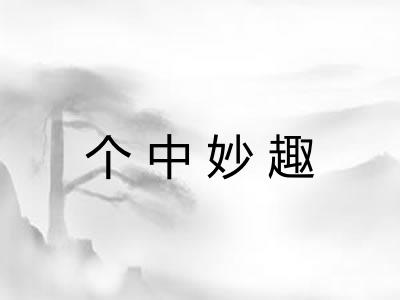 个中妙趣