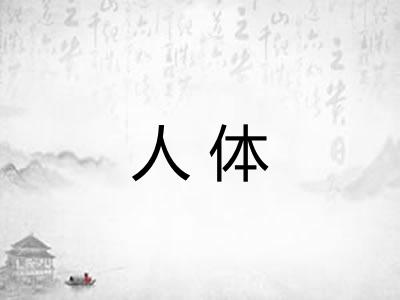 人体