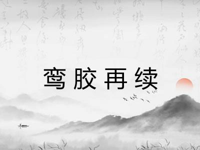 鸾胶再续
