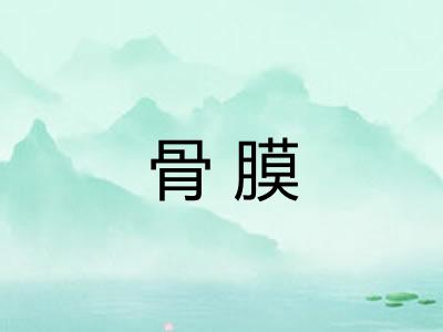 骨膜