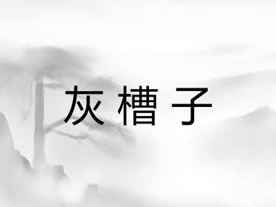 灰槽子