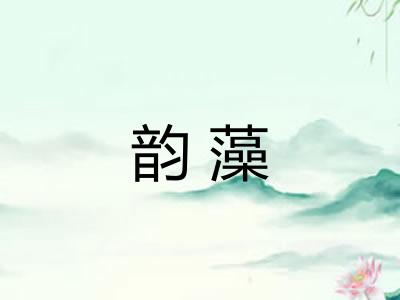 韵藻