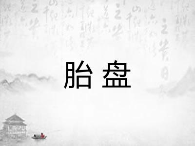 胎盘