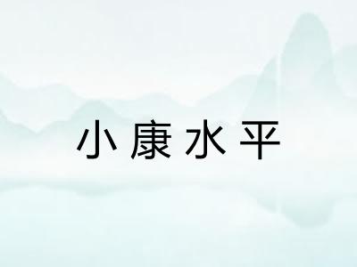 小康水平