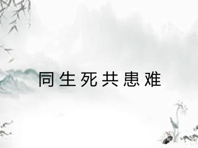 同生死共患难