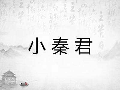 小秦君