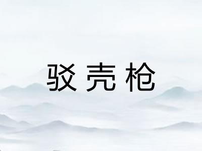 驳壳枪