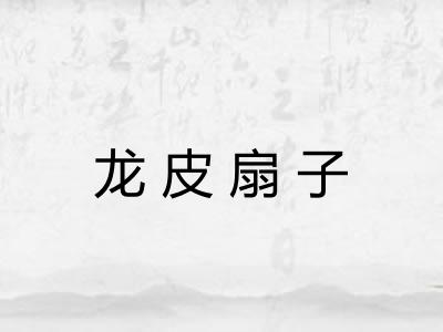 龙皮扇子