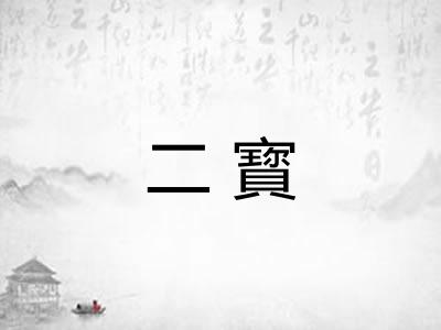 二寳