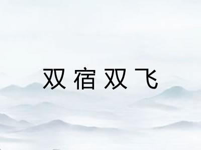 双宿双飞