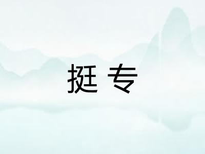 挺专
