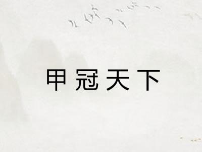 甲冠天下