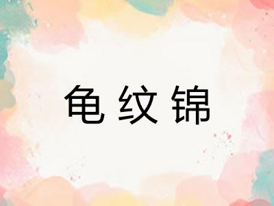 龟纹锦