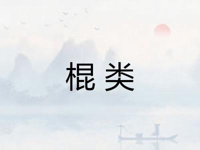 棍类