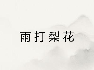 雨打梨花