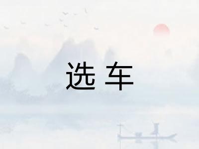 选车